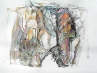 /album/ediciones-felipe-alarcon/serie-naturaleza-sumergida-v-tecnica-mixta-sobre-cartulina-100x-70-cms-ano-2008-jpg/